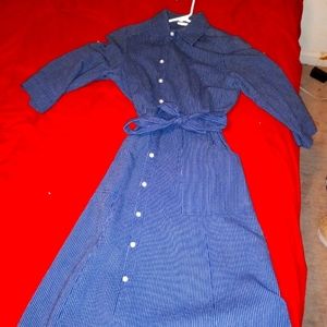 Pint Strip  Jean Dress